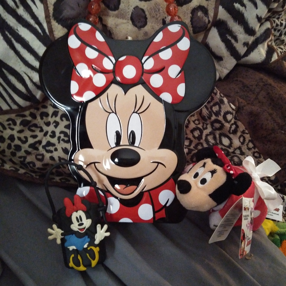 Minnie Mouse Lovers Essentials for On the Go
